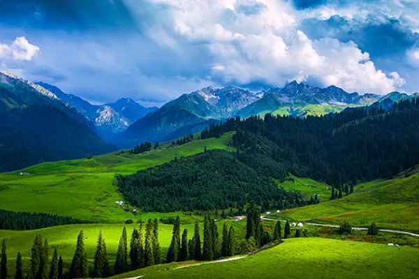 新疆范本青春文化传媒有限公司